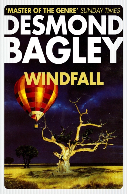 E-knjiga Windfall Desmond Bagley