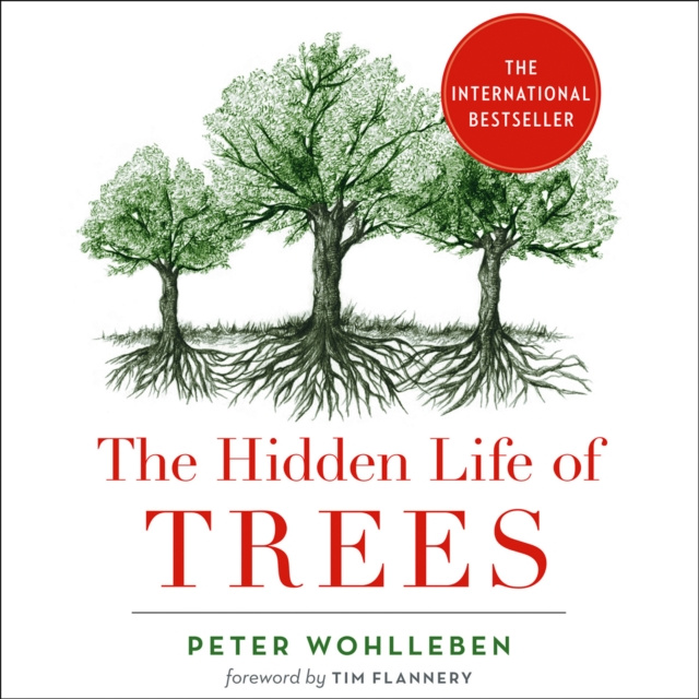 Audiokniha Hidden Life of Trees Peter Wohlleben