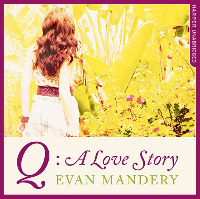 Audiobook Q: A Love Story Evan Mandery