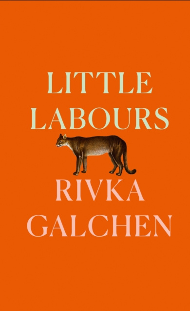 E-knjiga Little Labours Rivka Galchen
