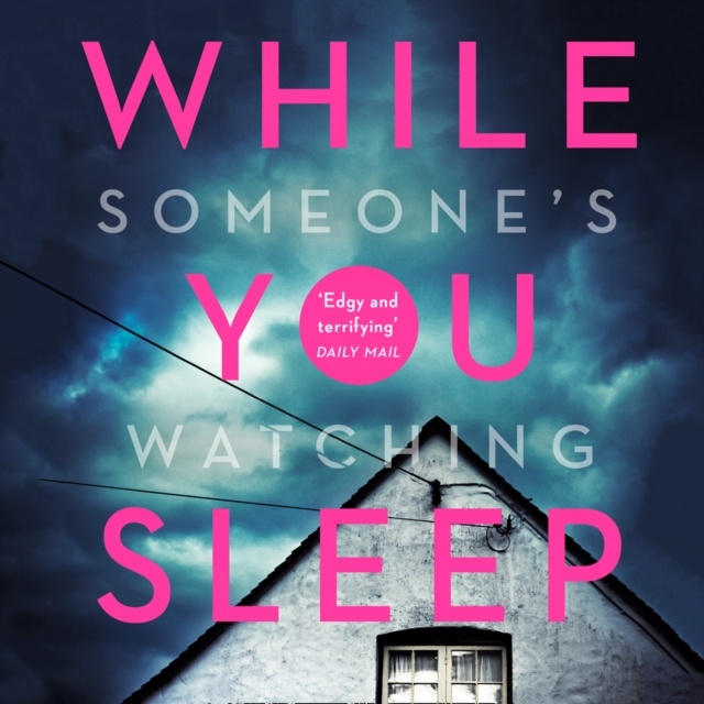 Audiobook While You Sleep Stephanie Merritt