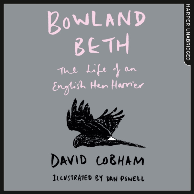 Audiokniha Bowland Beth: The Life of an English Hen Harrier David Cobham