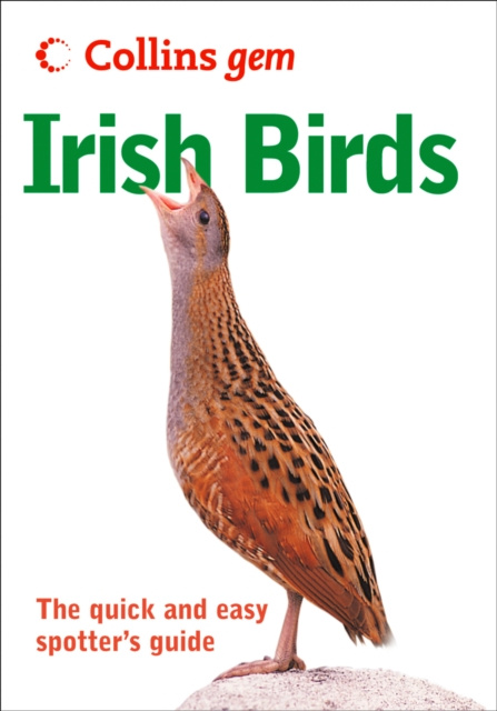 E-kniha Irish birds David Cabot