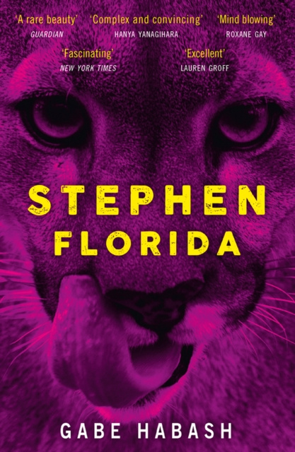E-book Stephen Florida Gabe Habash