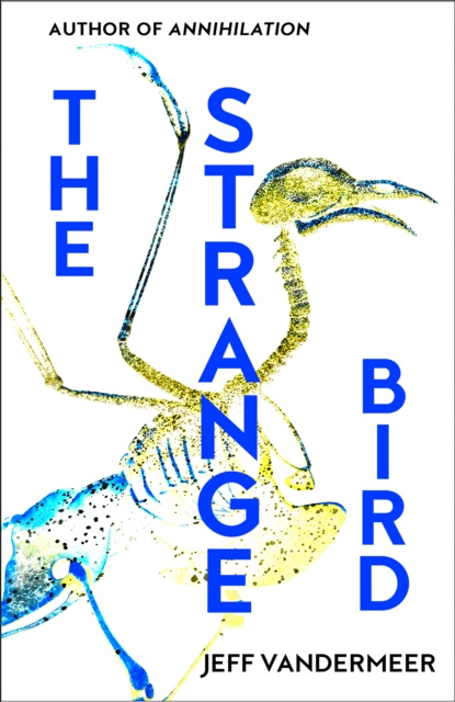 E-book Strange Bird Jeff VanderMeer