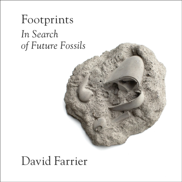 Audiokniha Footprints David Farrier