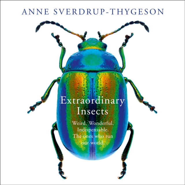 Hörbuch Extraordinary Insects: Weird. Wonderful. Indispensable. The ones who run our world. Anne Sverdrup-Thygeson