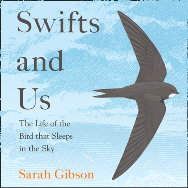 Audiokniha Swifts and Us: The Life of the Bird that Sleeps in the Sky Sarah Gibson