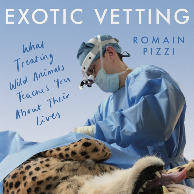 Audiokniha Exotic Vetting Romain Pizzi