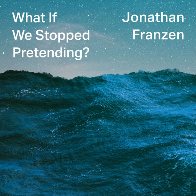 Audiokniha What If We Stopped Pretending? Jonathan Franzen