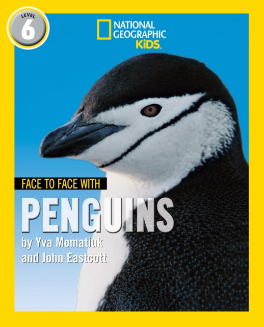 E-knjiga Face to Face with Penguins Yva Momatiuk