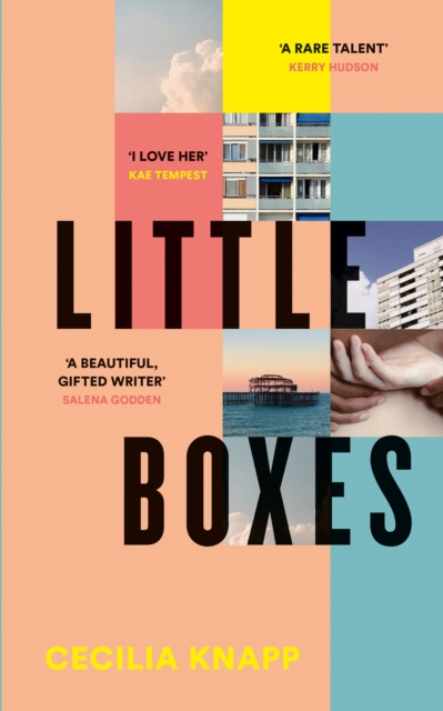 E-knjiga Little Boxes Cecilia Knapp
