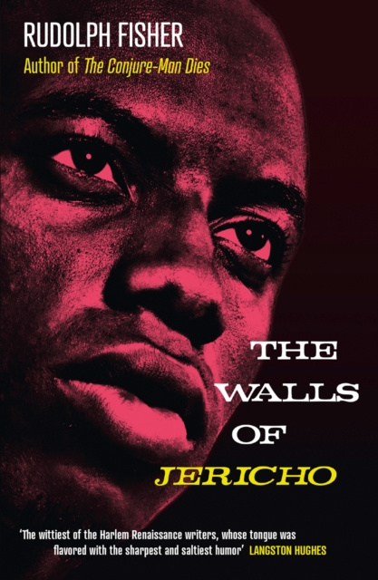 E-book Walls of Jericho Rudolph Fisher