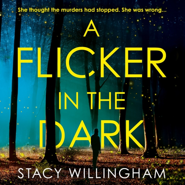 Audiokniha Flicker in the Dark Stacy Willingham