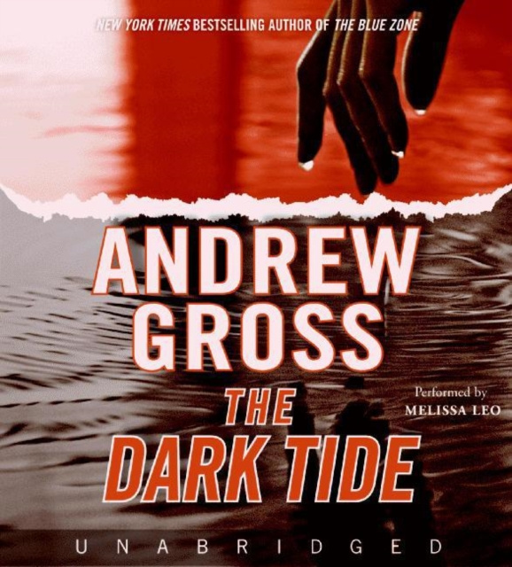 Audiobook Dark Tide Andrew Gross