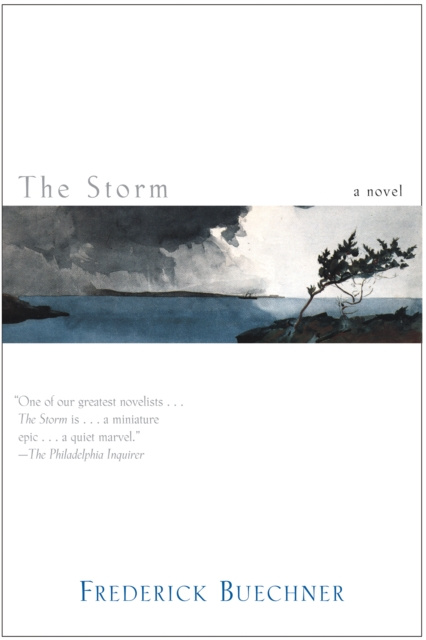E-knjiga Storm Frederick Buechner