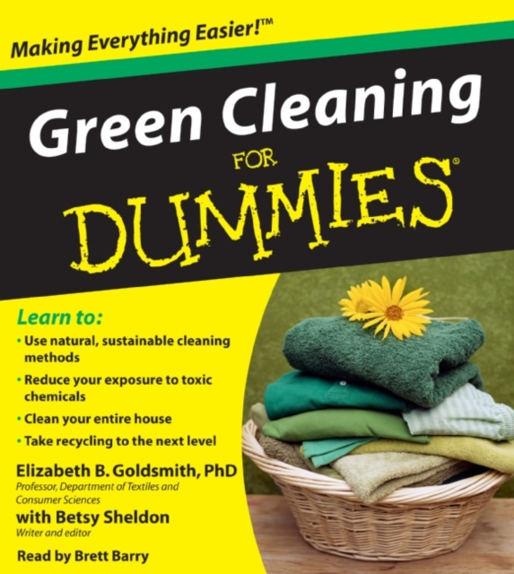 Audiokniha Green Cleaning for Dummies Elizabeth Goldsmith