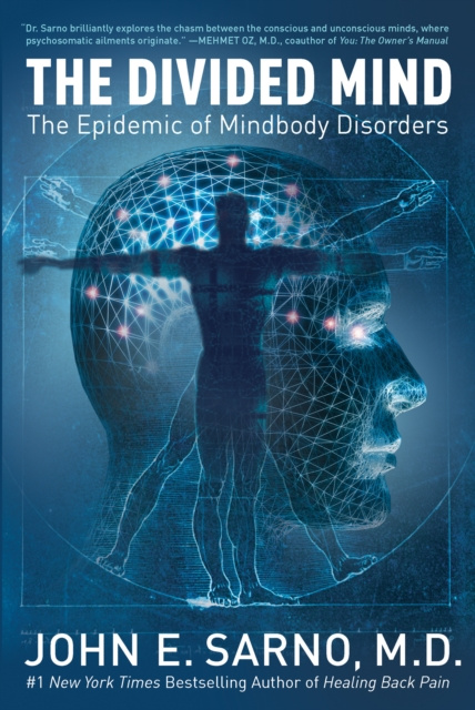 E-kniha Divided Mind John E. Sarno