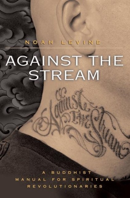 E-kniha Against the Stream Noah Levine