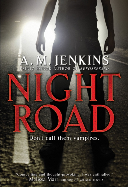 E-knjiga Night Road A. M. Jenkins