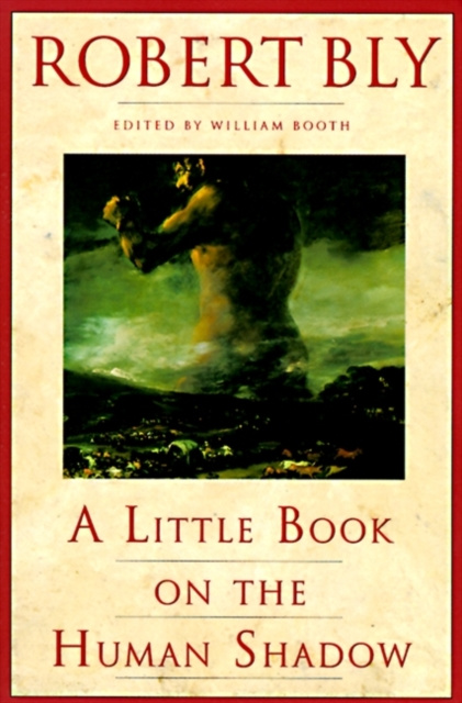 E-book Little Book on the Human Shadow Robert Bly