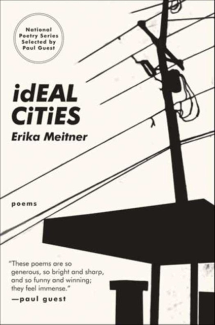 E-knjiga Ideal Cities Erika Meitner