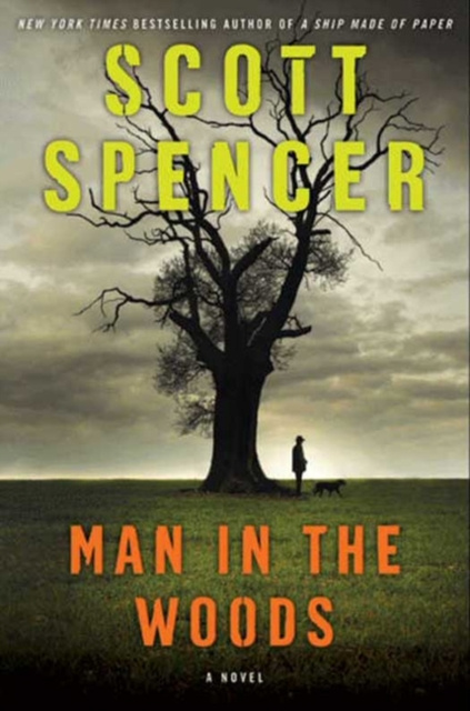 E-kniha Man in the Woods Scott Spencer