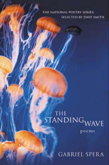 E-knjiga Standing Wave Gabriel Spera