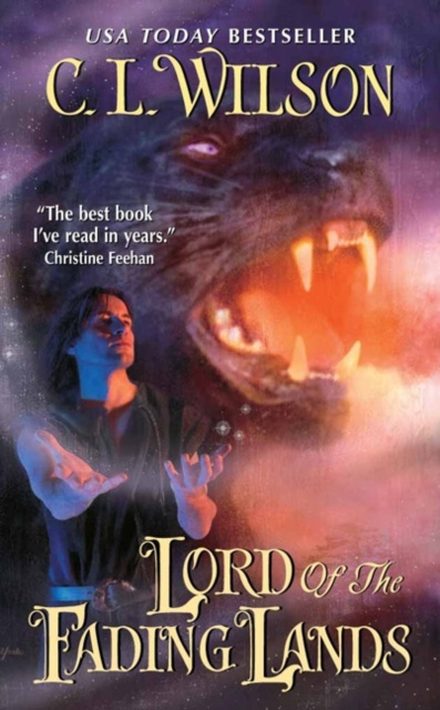 E-knjiga Lord of the Fading Lands C. L. Wilson