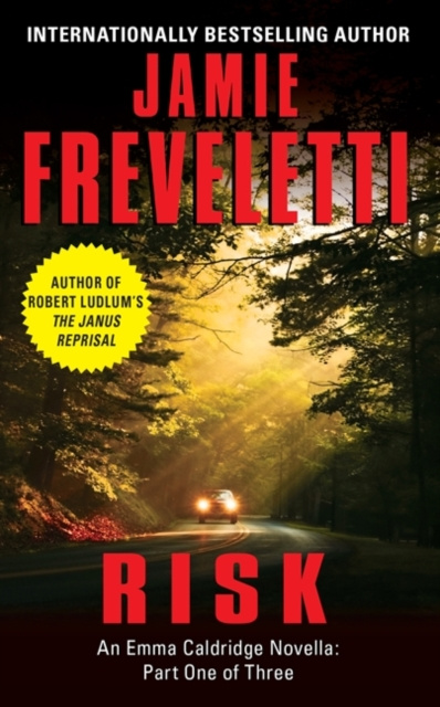 E-knjiga Risk Jamie Freveletti