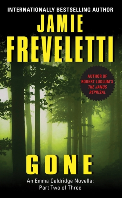E-book Gone Jamie Freveletti