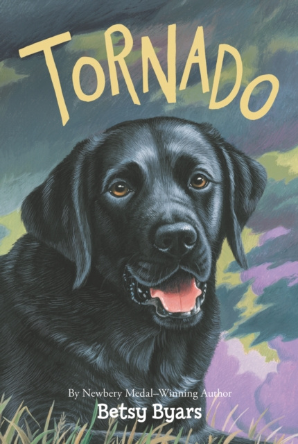 E-knjiga Tornado Betsy Byars