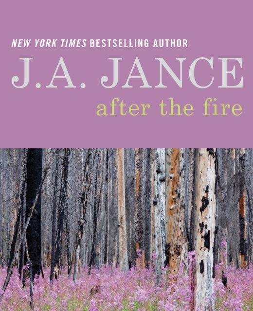 E-kniha After the Fire J. A. Jance