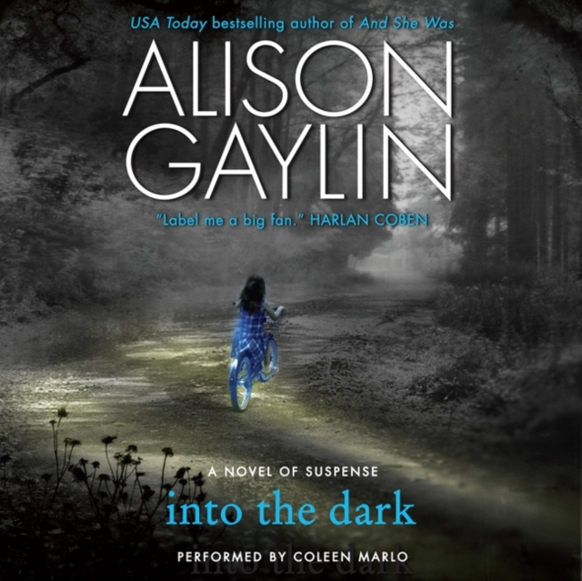 Audiokniha Into the Dark Alison Gaylin