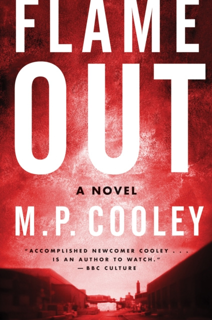E-knjiga Flame Out M. P. Cooley