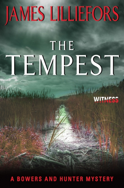 E-knjiga Tempest James Lilliefors