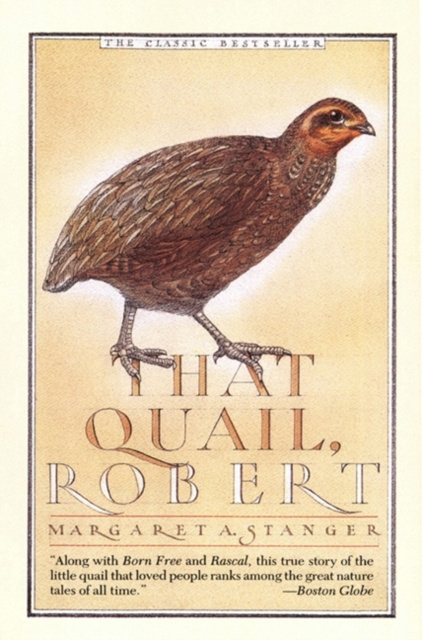 E-book That Quail, Robert Margaret Stanger