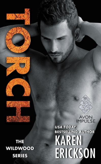 E-book Torch Karen Erickson