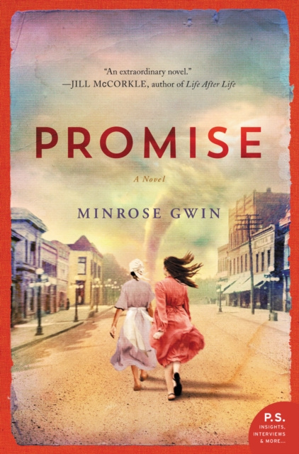 E-knjiga Promise Minrose Gwin