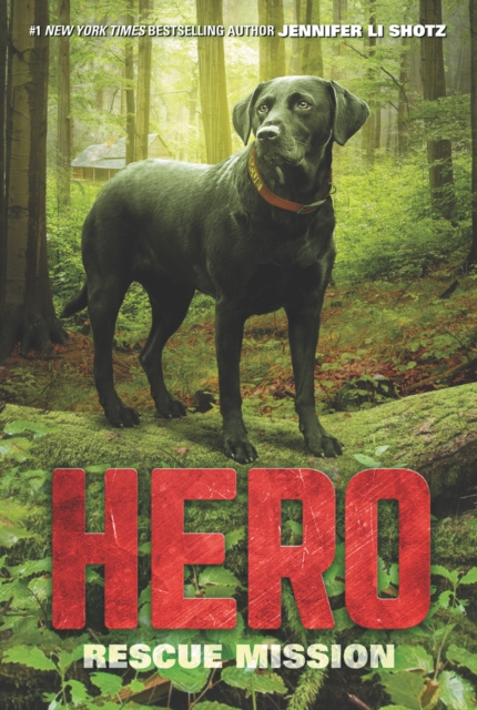 E-book Hero: Rescue Mission Jennifer Li Shotz