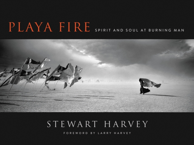 E-book Playa Fire Stewart Harvey