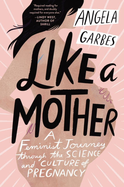 E-kniha Like a Mother Angela Garbes