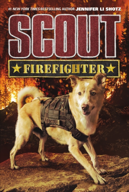 E-book Scout: Firefighter Jennifer Li Shotz