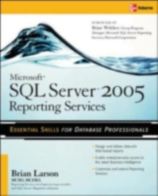E-book Microsoft SQL Server 2005 Reporting Services Brian Larson