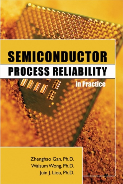 E-knjiga Semiconductor Process Reliability in Practice Zhenghao Gan