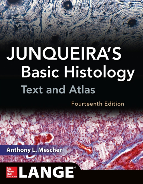 Libro elettronico JUNQUEIRAS BASIC HISTOLOGY 14E Anthony Mescher