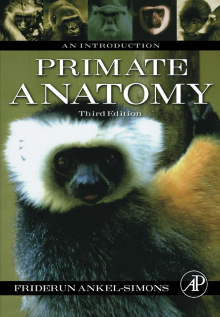 E-book Primate Anatomy Friderun Ankel-Simons