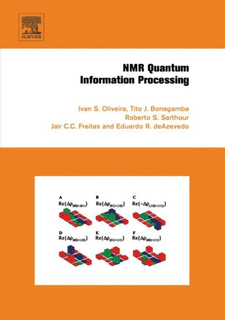 E-knjiga NMR Quantum Information Processing Ivan Oliveira