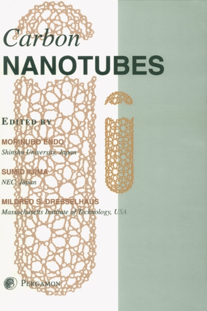 E-Book Carbon Nanotubes M. Endo