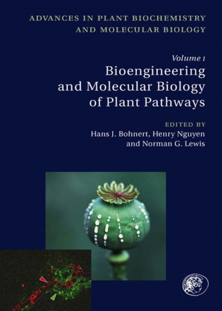 E-kniha Bioengineering and Molecular Biology of Plant Pathways Norman Lewis